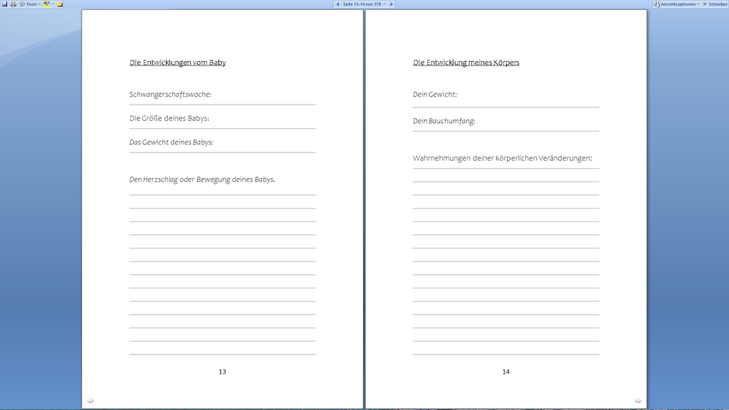 Schwangeschaftserlebisse Buch blau